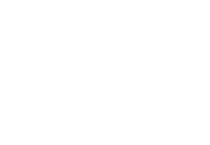 Automotive icon