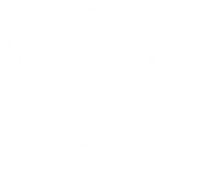 Financial icon